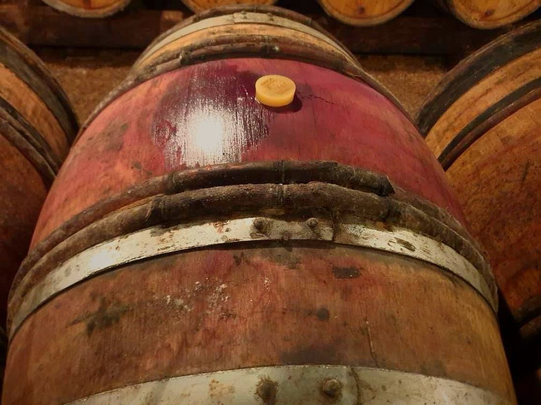 Oak barrels in the cellar at the estate